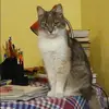 Отзыв от Катюша Петухова